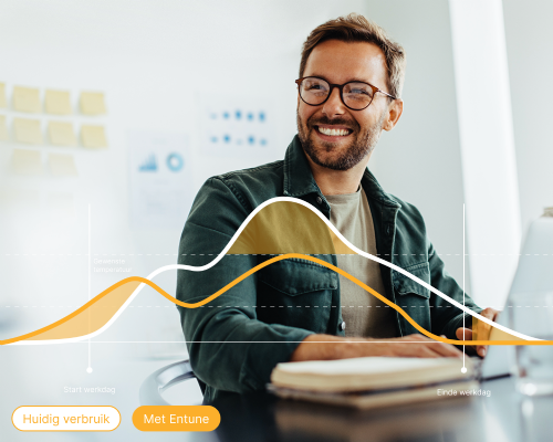Entune Optimizer